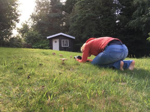 Als het even kan maak ik mooie foto's